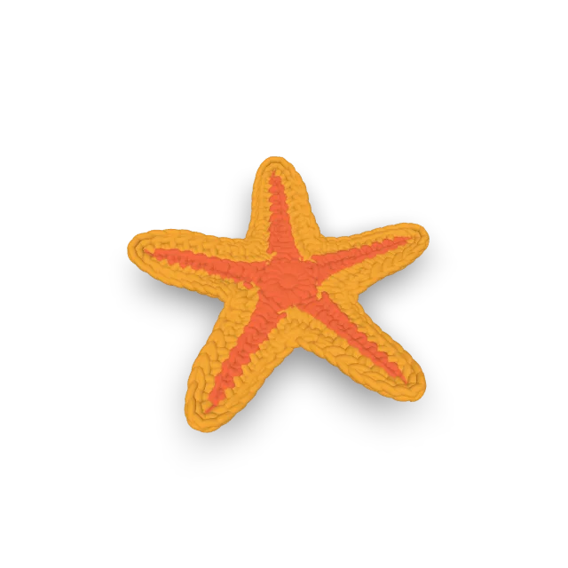 Sea Star